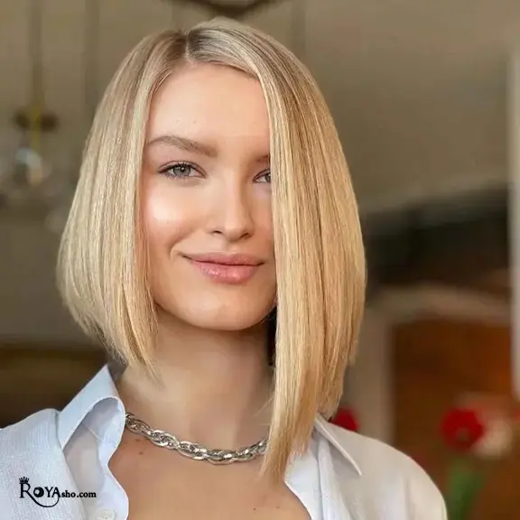 مدل کوتاه نامتقارن مدل کوتاه نامتقارن