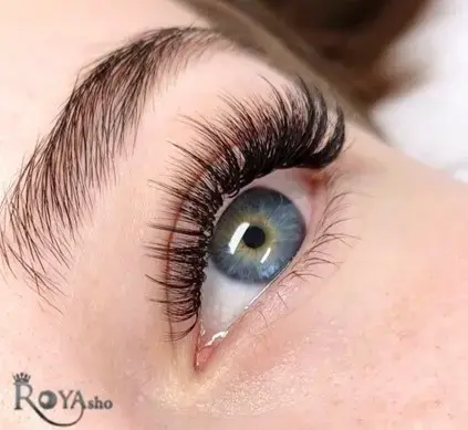 بهترین مژه کار تهران
