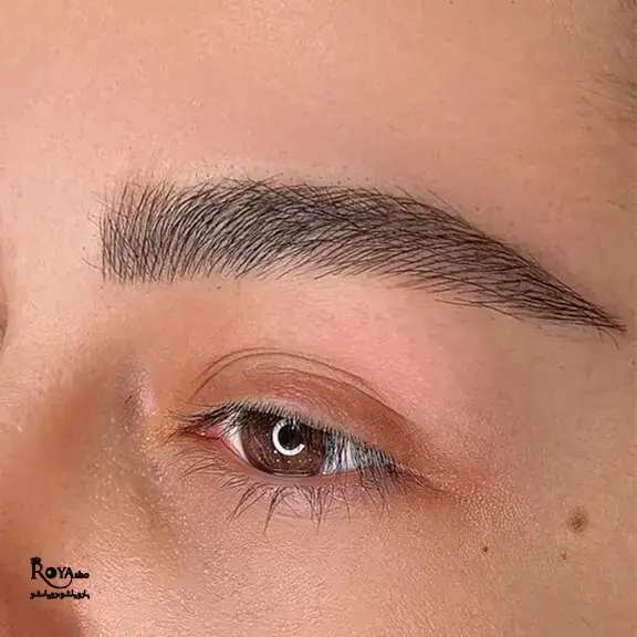 نام PhiBrows از آکادمی PhiAcademy گرفته شده است