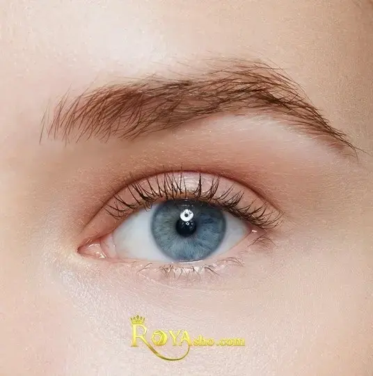 بهترین مژه‌کارهای پونک