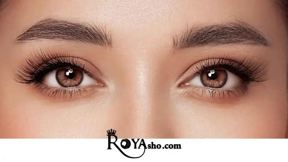 میکروبلیدینگ ابرو در الهیه میکروبلیدینگ ابرو در الهیه