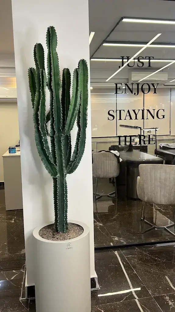 سالن زیبایی زوشا در مرزداران