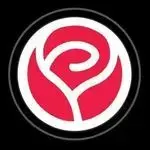 سالن زیبایی رز سرخ انقلاب